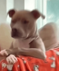 ����7ֵ����լè�ռ�����֥ʿ����5��24���Ÿ�ů�ű�39