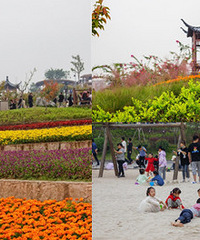 挨着主城老少皆宜的公园,有花海和儿童乐园