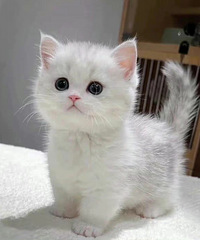 ������34���δ��Ů���о������Լ��������Լ���ô����