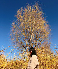 88��158CM��С������飬��ͥ�����޸���