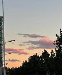 �Һ������˲�ʹ���ķ�����ʹ���Ľ��ÿ������Կ�