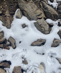 91��156CM�İ�����С������飬ϣ���Է�̤ʵ�Ͻ��й滮