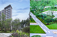 ʵ̽빫԰һֵ컨壬ƺ