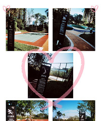 ���ĳ��۱���������