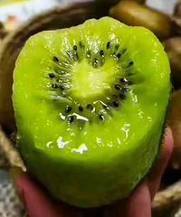 ���������۵���������⨺��ң���Ƥ�ܱ�