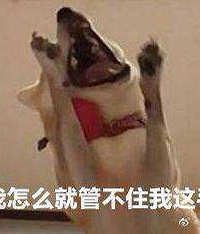 快来晒双11的包裹,看看你买得最划算的是啥?一起体验消费的快