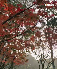 ���빫԰.�ﳿ