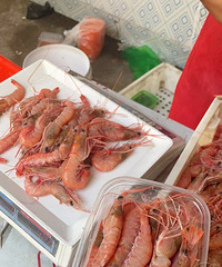 ��ɽҰ�����ʿ��ţ���Ϻ���㳬���ʣ����ⱬ������ƻ��Ҳ������