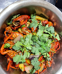 96��161CM����ֻè�������������飬ϣ���Է���90��