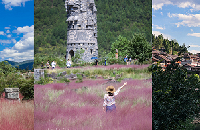 ʯȺݹųǼֱYYDSֵ̲