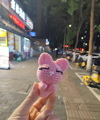 ������������߼���������û��ס����è���Ȼ���