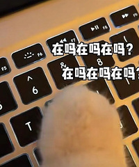 ������ֵ���򡿰�����ƽ/���̻�98�������ë������ˢ9ֻ27