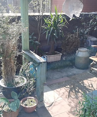 ������������¥���и���԰�������գ�