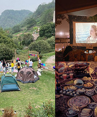 能空手去的主城露营地,有机麻电影