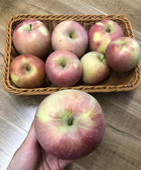 һǮƻǺóԣִִ̫ſ