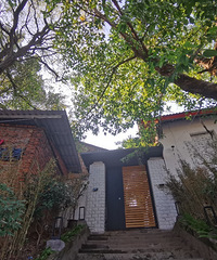 ����������꿾ȫ�򣬵�һ�η������ֳԷ�