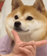 ������ֵ����Ӧ��׶���ԭѿ��10��39�����ů����10Ƭ6