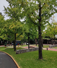 ���������������ɽ