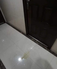 �ھ�Ů�������������ÿ���ڹ���������ҵ���ּ�����ǳ���Ѭ��