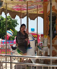 ��135�ﵽ110��Ľ������ʷ�������