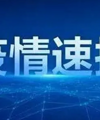 11月5日重庆市新增本土确诊病例40例