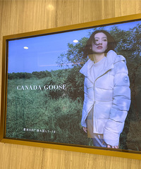 �ǹ�68��Ȼ����һ�Ҽ��ô�죬���˵�Ա˵�ľ����