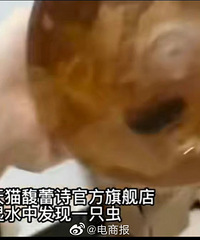 女生网购维他奶开箱发现爬满蛆,厂家:清理下还能喝
