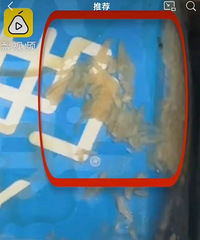 女生网购维他奶开箱发现爬满蛆,厂家:清理下还能喝