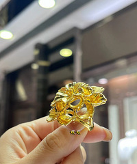 ��һ���˼主�󻨣������Ƽ���