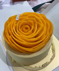 ƽƽ�����һ�������ۻᣬ��������⾪���ˡ�������