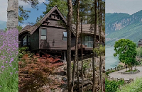 ȥ4˾1200࣬סȼپƵ