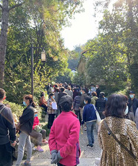 �ٽ�˫11���������г������֣�������С������Ϊ01�����