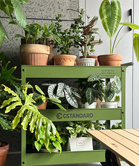 լиɫ̨̫ˬˣ250СƳǧֵֵ