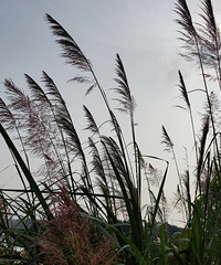 �������ڼ����Ƕ���ô��ʱ�䣿��һ�����ֻ�����ˣ���Ӳ��ÿ�