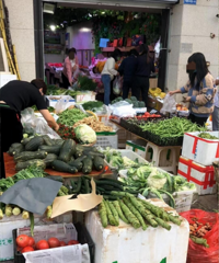 ��԰�����������бڣ��������������ٵ����־���