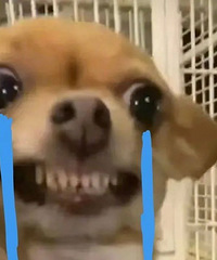 ЩǮĲʡ˵йЩЧʡǮΪ