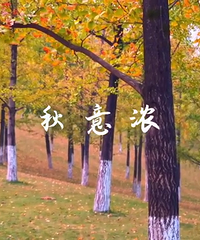 ���빫԰.����Ũ��