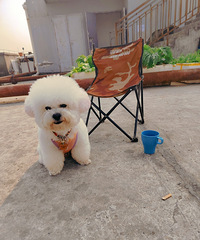 �����µĵ������һ��һ������̨��̫���ȿ���