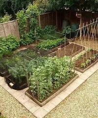 �ڳ�����Լ����и���԰�����������飿