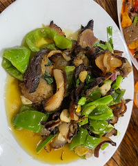 �����µĵ��������صڶ��죬��������