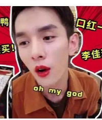 ����˫ʮһ�����������