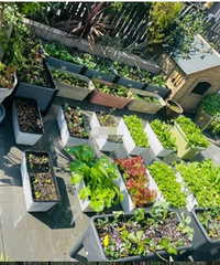 ��Ժ�ӵ��󷿣��ڼҾͿ�ӵ����Ȼ������