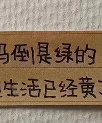 µĵҵͣÿκѡ¥20