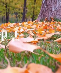 ���빫԰.���ӵ����