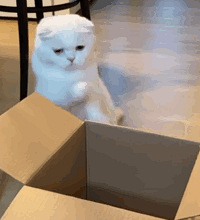 ������ֵ��������������19����ϣ����Ůץ������2��96