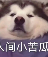 疫情3年,你还爱网购吗?有人双11买100单,有人戒了网购瘾
