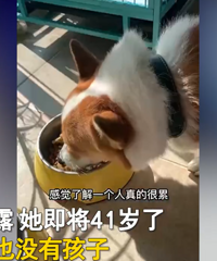 40�겻�鲻��Ů�ӻ�Ӧ������ô�죺���ܺ͹�����������