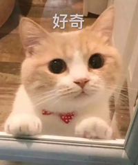 据说消费降级之后现在很多人都不买衣服了,你多久没买衣服了?