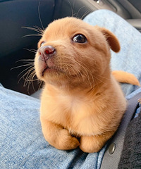 ॸ������������Ǻ����صĹ�ϵ��