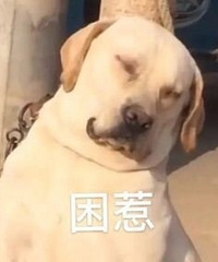 ������ֵ���򡿰������Ա�6������·��ʿ�˶���39